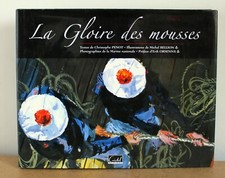 Gloire des mousses - gloire,
